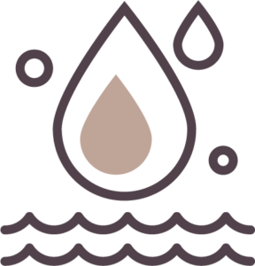 Experience You Can Trust